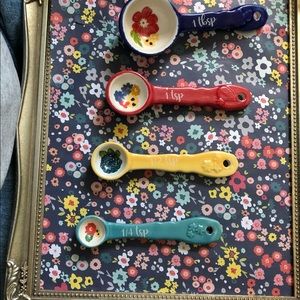 Pioneer Woman measuring spoons. Euc